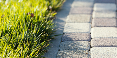 Natural Grass Close Up (2)